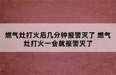 燃气灶打火后几分钟报警灭了 燃气灶打火一会就报警灭了